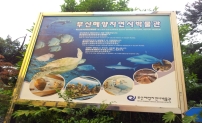 부산해양자연사박물관 표지