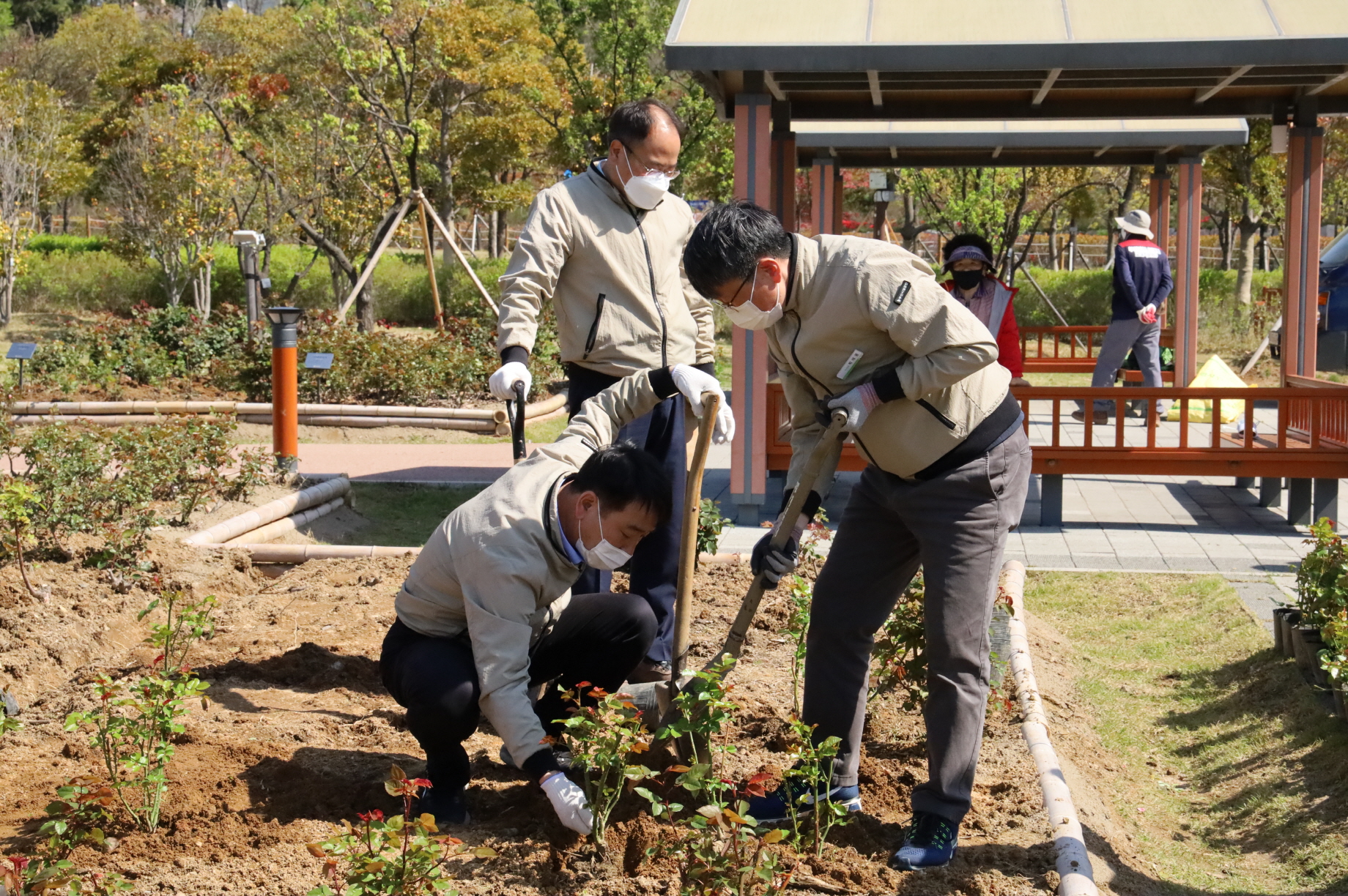부산시민공원 참여의 정원 내 장미원-장미 25종 805주 식재 3