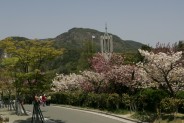 중앙공원 &#48283;꽃 풍경