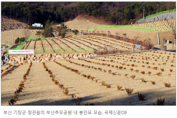 언론보도부산 공공 봉안시설 포화
